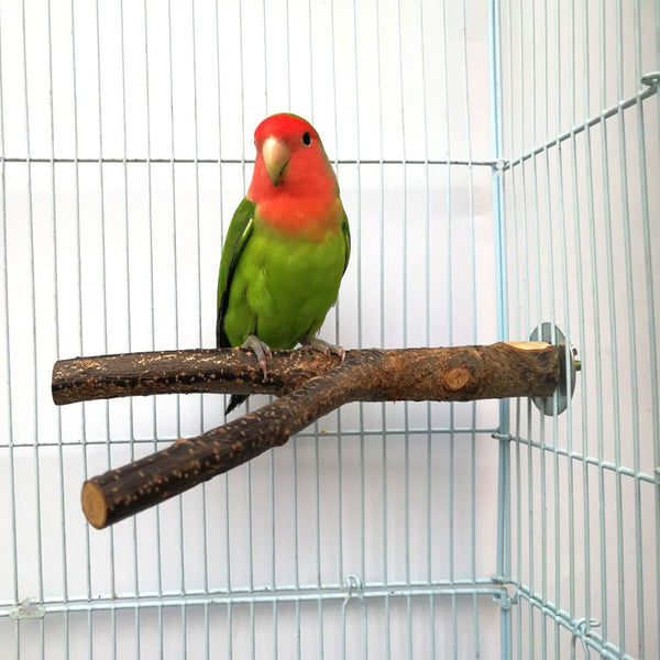 New Pet Parrot Raw Wood Fork Perches Stand Tree Branch Stand Rack Toy Hamster Branch Budgie Hanging ToyPerches Bird Accessories
