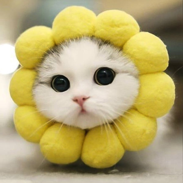 1PC Sunflower Pet Head Cover Cute Sponges Yellow Pet Hair Cat Wig Pet Wigs Kitten Cat Toys Cat Adornmen Sun Flower Soft Lovely