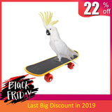 Pet Bird Toys Parrot Toys Funny Intelligence Skateboard Toy Stand Perch Toy For Parakeet Cockatiels Bird Training Accessories