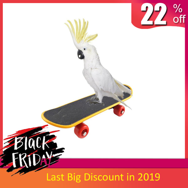 Pet Bird Toys Parrot Toys Funny Intelligence Skateboard Toy Stand Perch Toy For Parakeet Cockatiels Bird Training Accessories